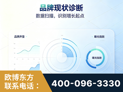 阜新-品牌现状诊断